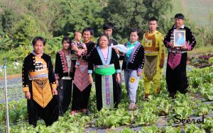 เกษตรทฤษฎีใหม่