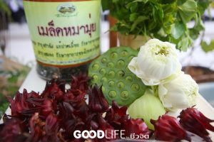 กระทรวงสาธารณสุข