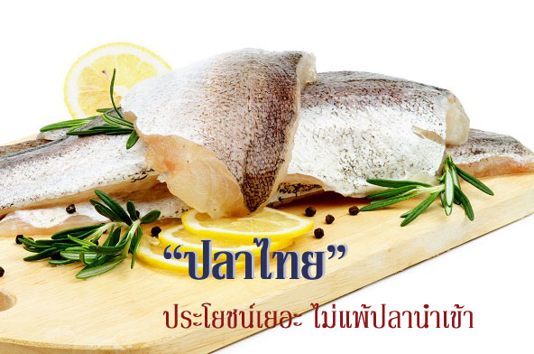 ปลา, กินปลา, ปลาทะเล, ปลาไทย, อาหารทะเล, อาหาเพื่อสุขภาพ
