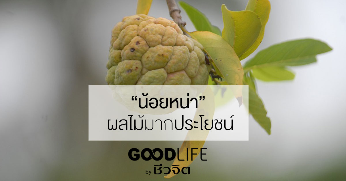 น้อยหน่า ผลไม้มากประโยชน์