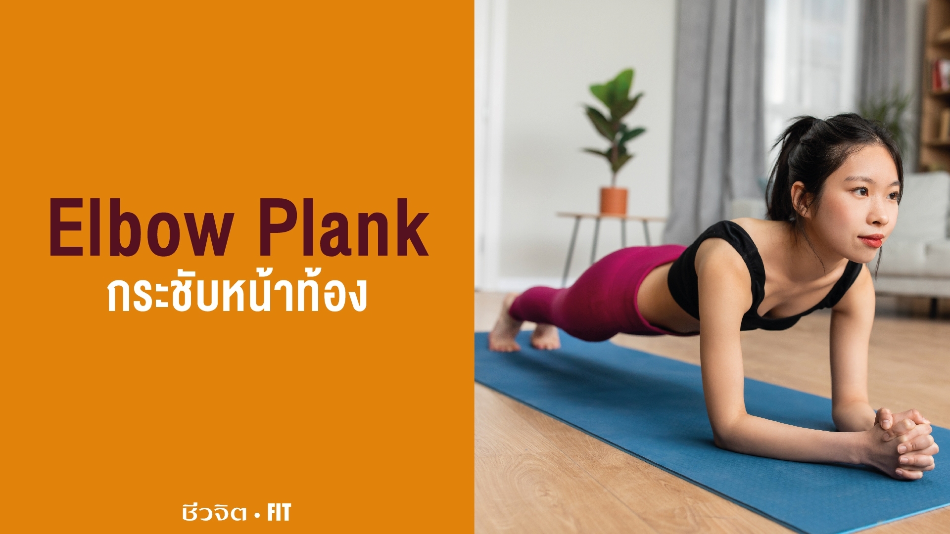 Elbow Plank กระชับหน้าท้อง