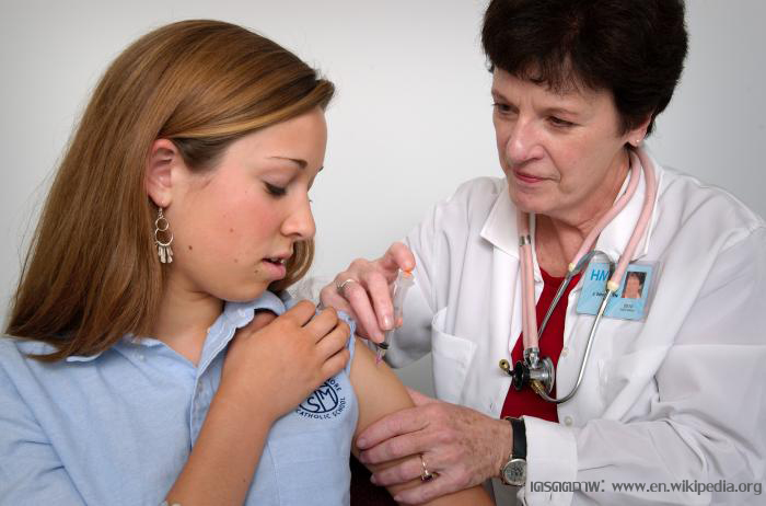 วัคซีน HPV, HPV Vaccine, เชื้อ HPV, มะเร็งปากมดลูก, มะเร็ง, โรคมะเร็ง