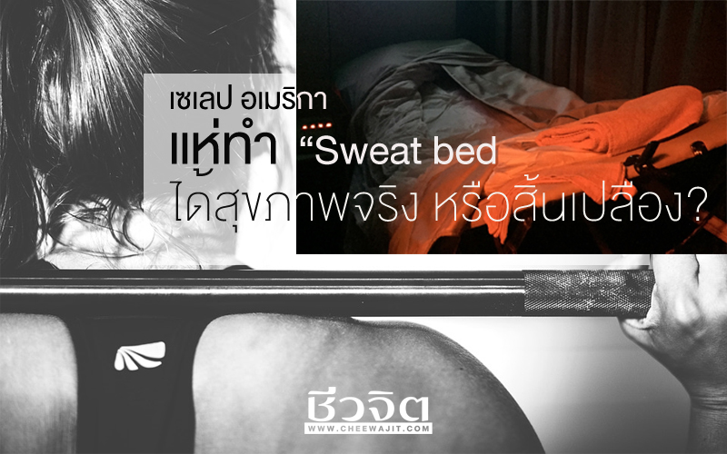 Sweat Bed, เตียงเรียกเหงื่อ, วิธีการเผาผลาญไขมัน, เซเลป