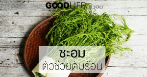ชะอม