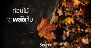 ชีวิตบั้นปลาย
