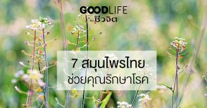 สมุนไพรไทยรักษาโรค