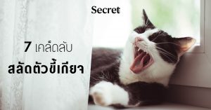 สลัดตัวขี้เกียจ