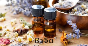 น้ำมันหอมระเหย, บำรุงสมอง, บำบัดความเครียด, ลดอาการซึมเศร้า, กระตุ้นการทำงานของระบบประสาท