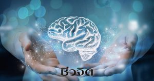เสียงดนตรี, เพิ่มพลังสมอง, ร้องเพลง, สมอง, กระตุ้นสมอง, บำรุงสมอง