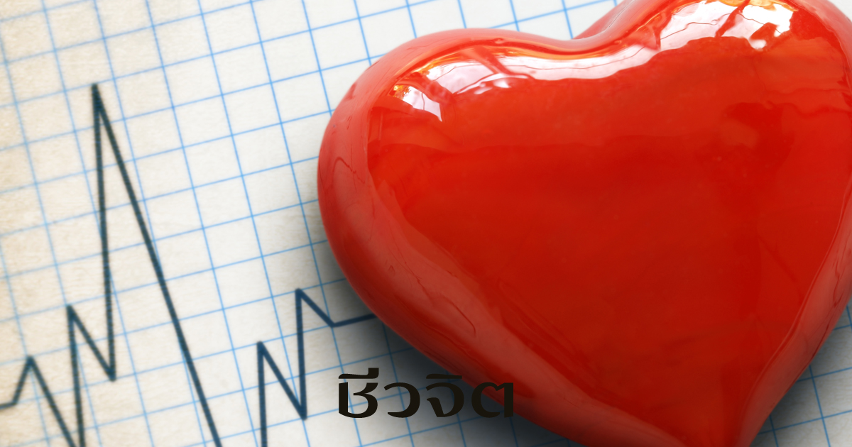 ยาไทย บำรุงหัวใจ, สมุนไพร, บำรุงหัวใจ, หัวใจ, สุขภาพหัวใจ