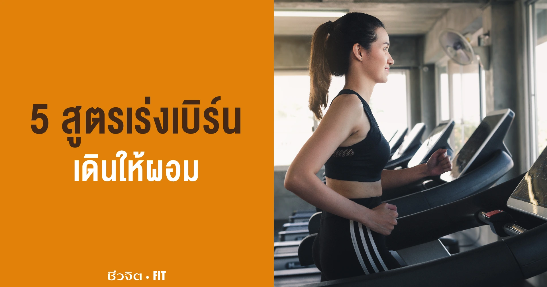 เดิน ออกกำลังกาย ชีวจิต
