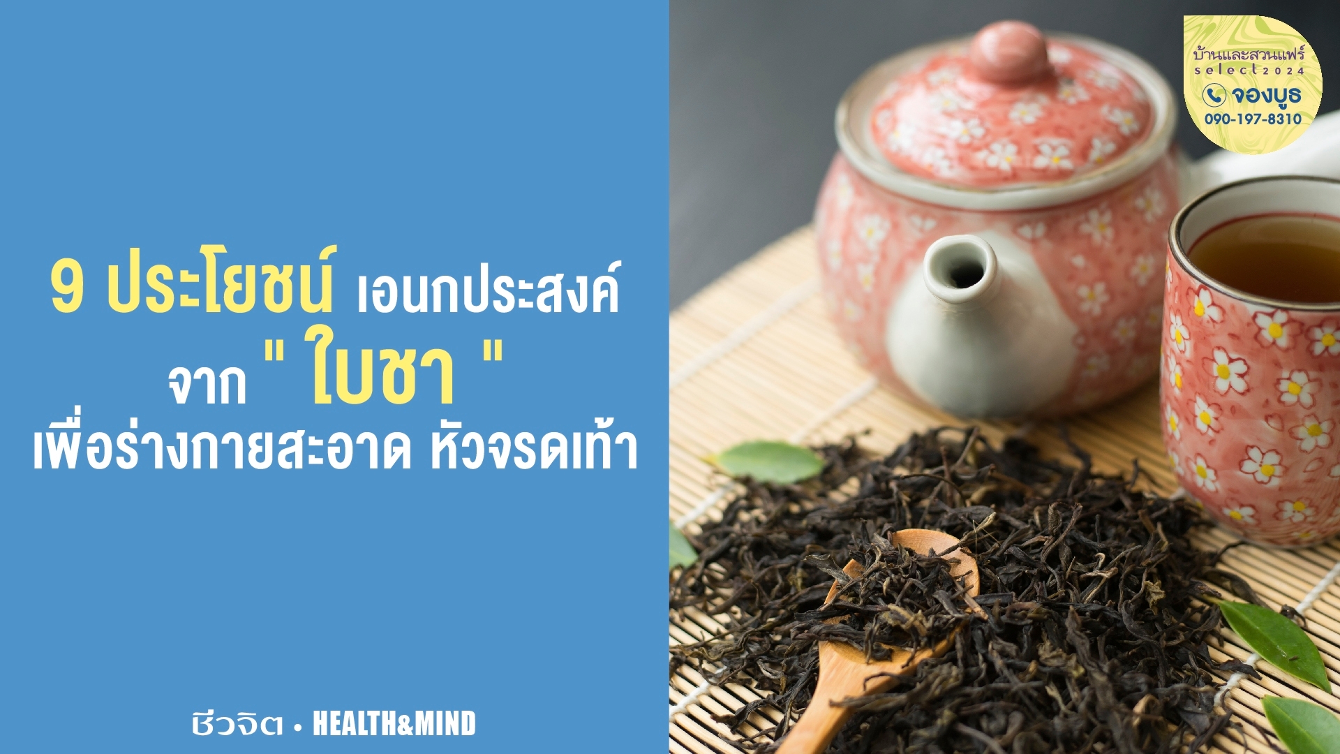 ใบชา, ชา, น้ำชา, วิธีเลือกใบชา, ใบชาที่มีคุณภาพดี
