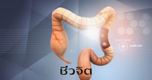 ระบบภูมิคุ้มกัน ภูมิคุ้มกัน ต่อมทอนซิล ต่อมไทมัส ไส้ติ่ง