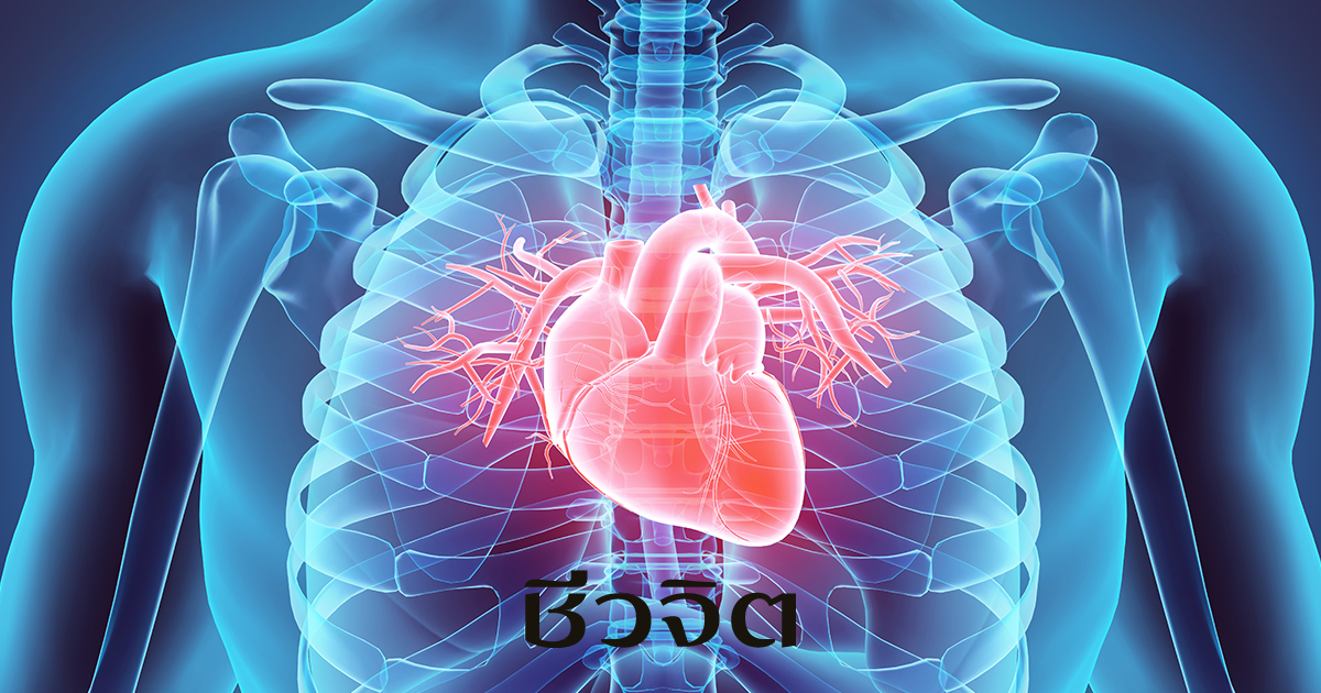 หัวใจวาย, โรคหัวใจ, ป้องกันโรคหัวใจ, อาการหัวใจวาย, หัวใจวายเฉียบพลัน