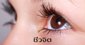 ริ้วรอย