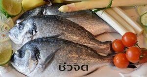 กินปลา, ปลา, เมนูลดน้ำหนัก, ลดน้ำหนัก, ลดความอ้วน