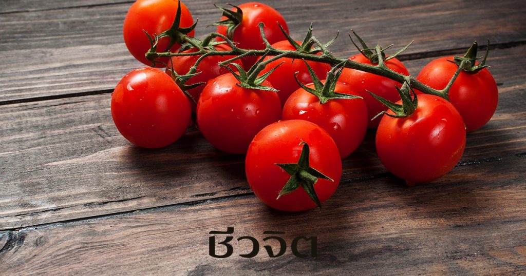 มะเขือเทศ, น้ำมันมะกอก, อาการควรกิน, อาหารสุขภาพ