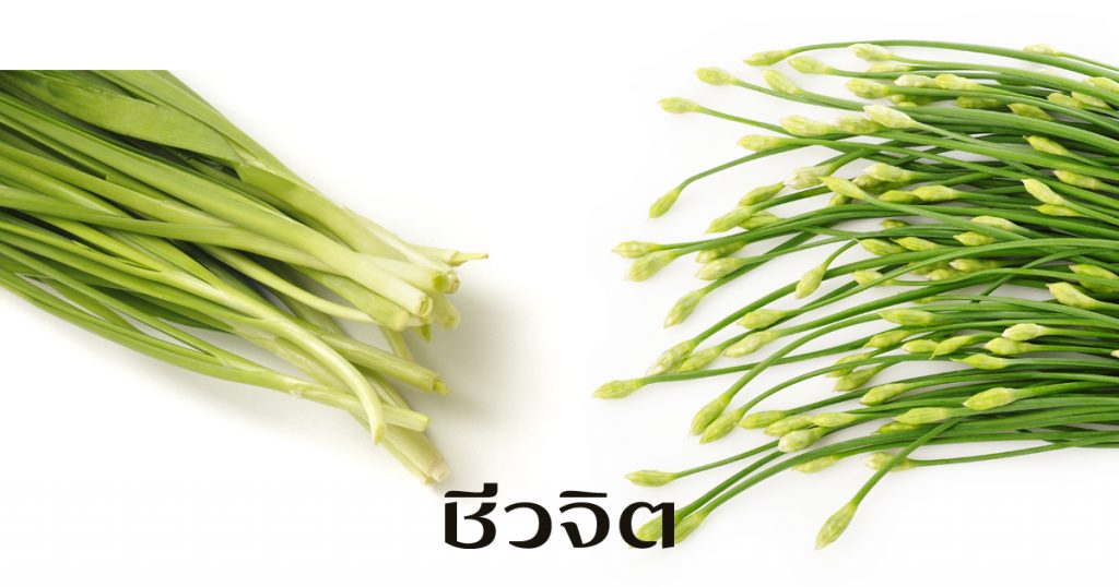 กุยช่าย, กุยช่ายเขียว, กิมจิ, กุยช่าย, ลดไขมันในเลือด, ขนมกุยช่าย