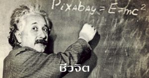 อัจฉริยะ, ไอน์สไตน์, Albert Einstein, สมอง, เพิ่มพลังสมอง