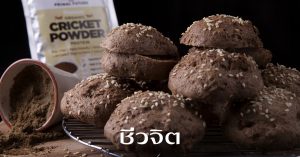 จิ้งหรีด, บำรุงสมอง, แมลงกินได้, แมลง, โรคซึมเศร้า