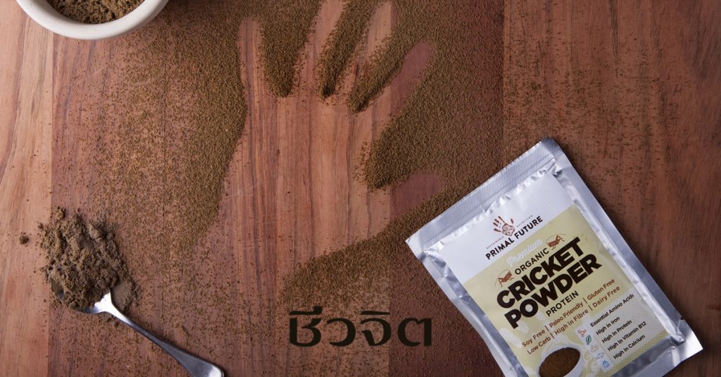 จิ้งหรีด, บำรุงสมอง, แมลงกินได้, แมลง, โรคซึมเศร้า