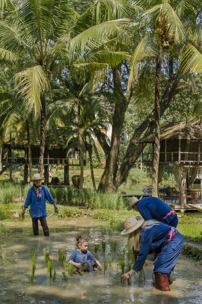 เที่ยวหน้าฝน, โฟร์ซีซั่นส์ รีสอร์ท เชียงใหม่