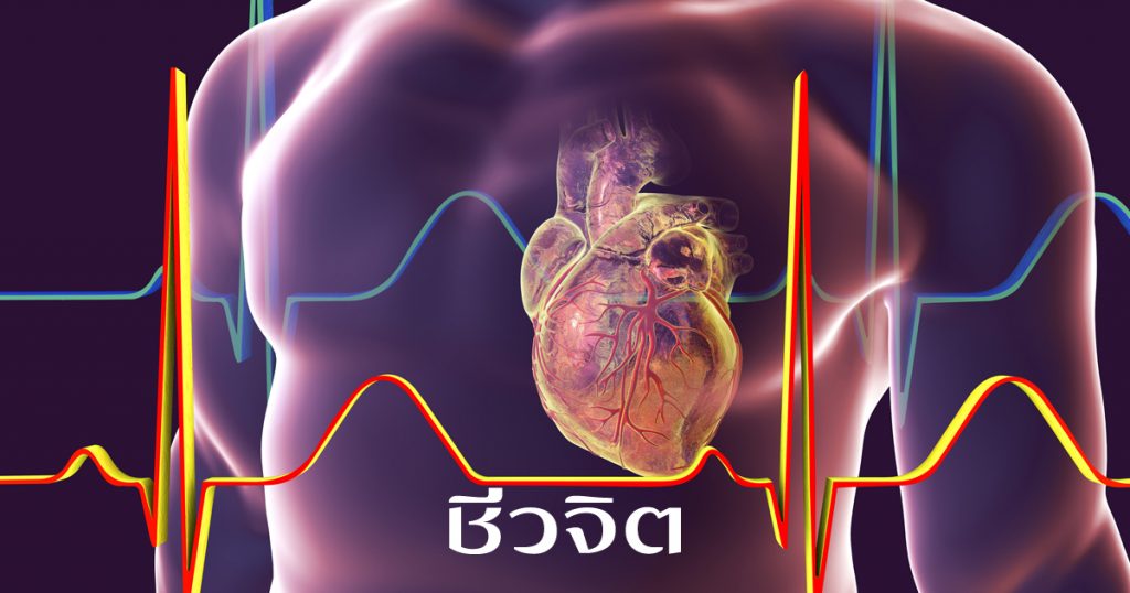 หัวใจวายเฉียบพลัน, กู้ชีพ, ผู้ป่วยหัวใจวาย, หัวใจ, ภาวะกล้ามเนื้อหัวใจขาดเลือด