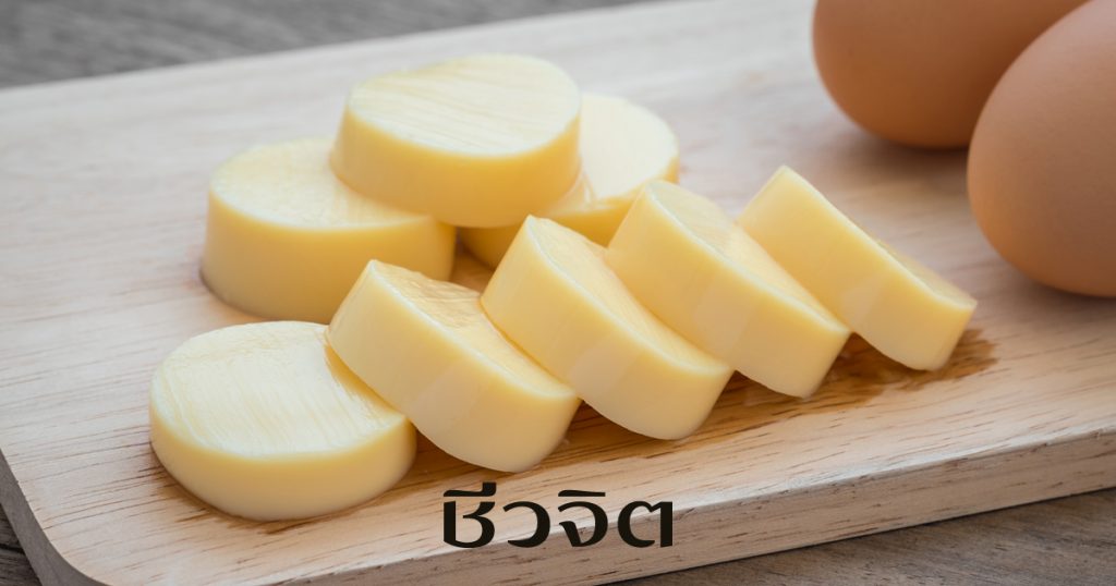 เต้าหู้, เต้าหู้หลอดไข่ไก่, อาหารจากเต้าหู้, ประโยชน์ของเต้าหู้, วิธีเลือกเต้าหู้