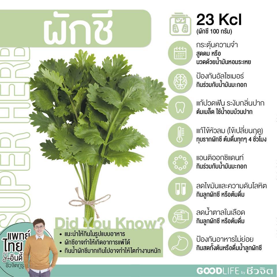 สมุนไพรเบาหวาน, ผักชี, สมุนไพร, ป้องกันเบาหวาน, โรคเบาหวาน