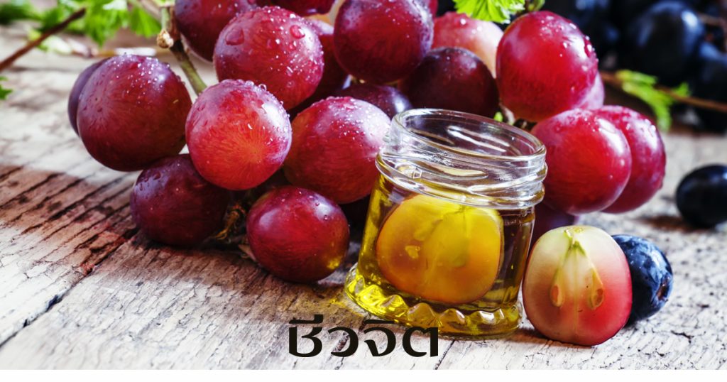 สารสกัดจากเมล็ดองุ่น, ผิวสวยทันใจ, องุ่น, เมล็ดองุ่น, ชะลอความแก่ 