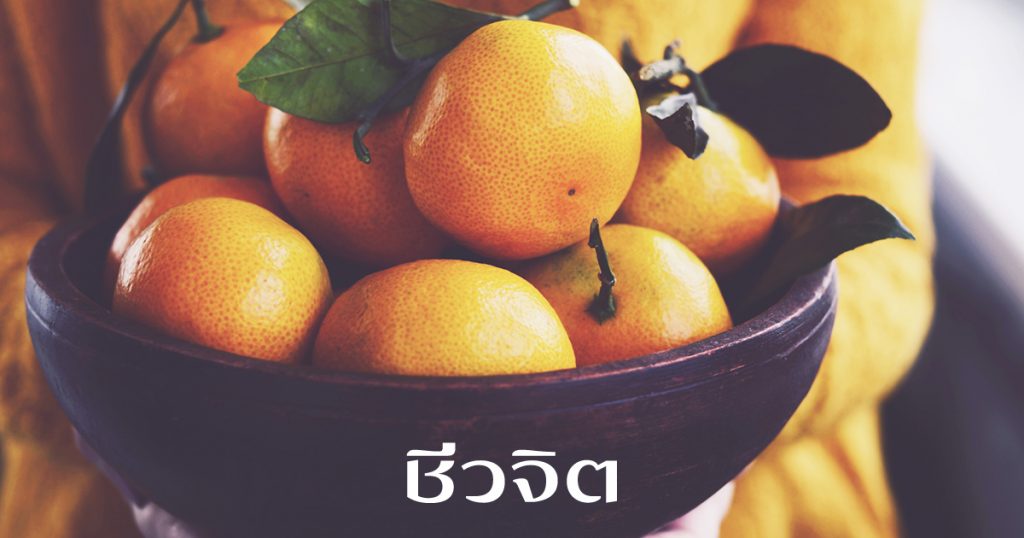 วิธีเลือกส้ม ให้หวานฉ่ำ อร่อย ถูกใจ โดย ป้ายุง ชีวจิตกูรู - ชีวจิต
