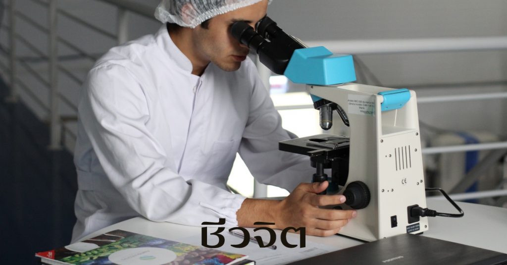 สเต็มเซลล์รักษามะเร็ง, สเต็มเซลล์, เม็ดเลือดขาว, stem cell, ชีวจิต