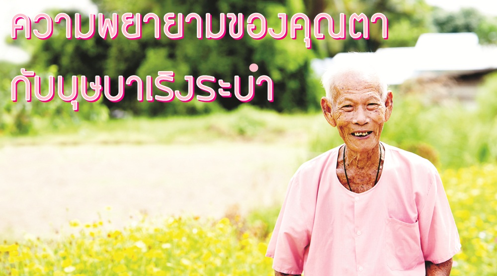 ปลูกต้นไม้ให้แผ่นดิน 