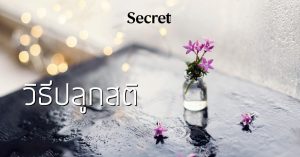 วิธีปลูกสติ