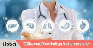 ยืดอายุอวัยวะ, ตับ, ไต, หัวใจ, สมอง, ดวงตา
