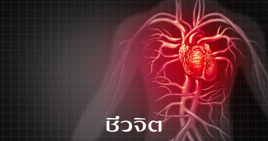 เดินจงกรม ป้องกันโรคหัวใจ