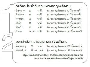 การเผาผลาญพลังงาน, กิจวัตรประจำวัน, ออกกำลังกาย, ข้าวกะเพราไก่, ล้างพิษ, อาหารท็อกซิน, เมนูอาหารยอดฮิต