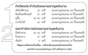 การเผาผลาญพลังงาน, กิจวัตรประจำวัน, ออกกำลังกาย, ข้าวราดผัดผักคะน้า, ล้างพิษ, อาหารท็อกซิน, เมนูอาหารยอดฮิต