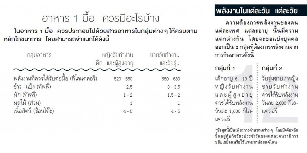 ล้างพิษ, สารอาหารที่จำเป็นต่อร่างกาย, อาหาร 1 มื้อควรมีอะไรบ้าง, กิน, อาหาร, กินอาหารเพื่อสุขภาพ, หลักการกินอาหารที่ถูกต้อง 