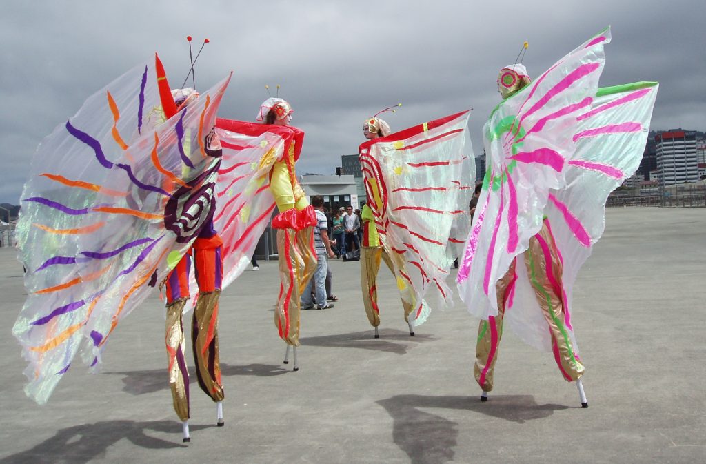 Stilt Walker butterfly