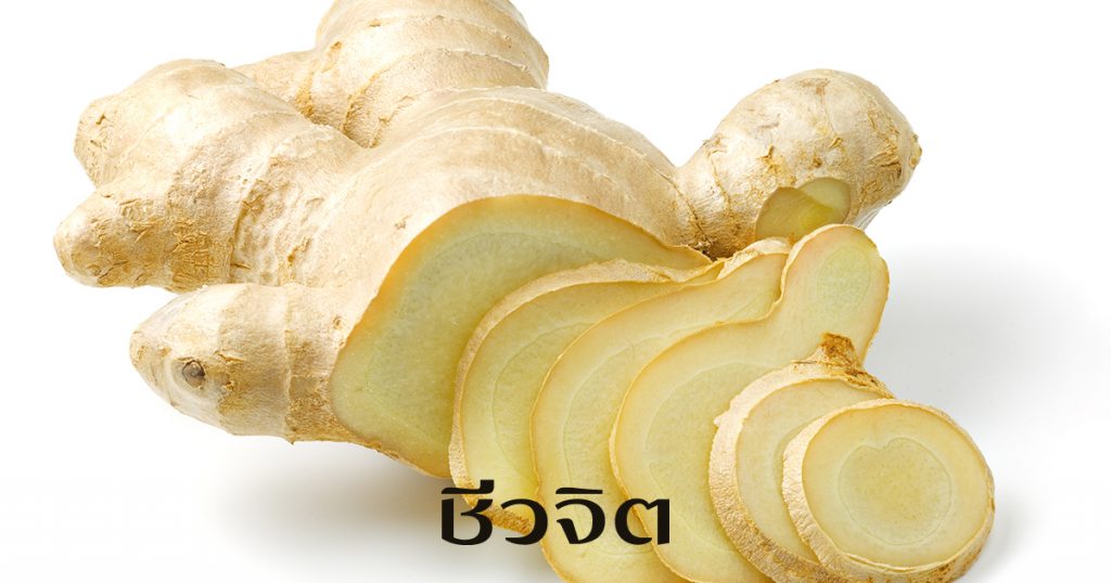 ขิง, อาหารเพิ่มความอบอุ่น, ป้องกันมะเร็ง, โรคมะเร็ง, มะเร็ง, แพทย์แผนจีน