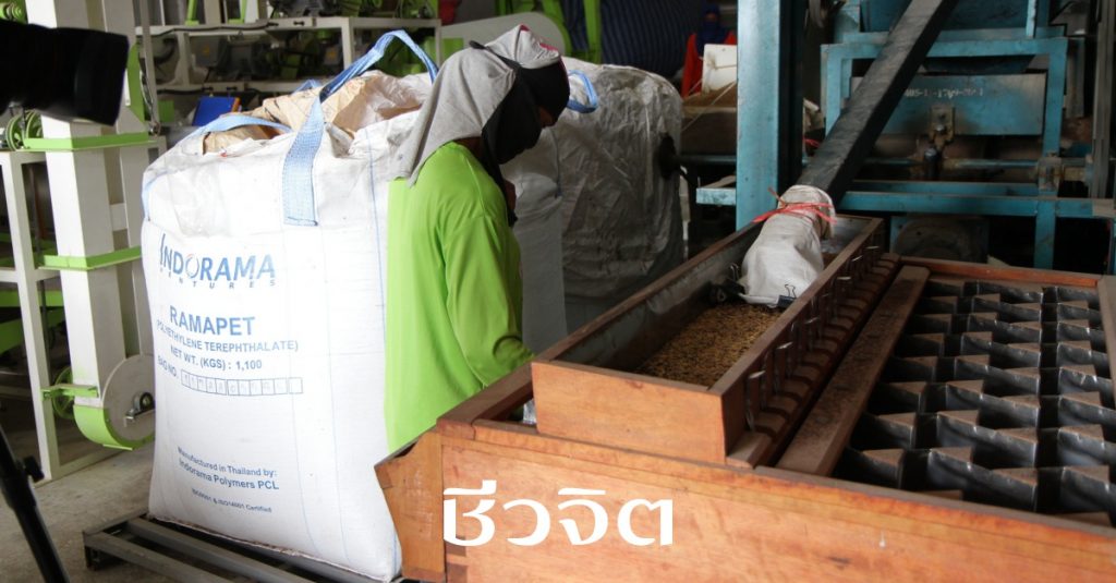 ข้าวทุ่งกุลาร้องไห้, ข้าวทุ่งกุลาร้องไห้, ข้าวหอมมะลิ, ข้าวหอมมะลิ, ข้าวหอมมะลิ105, 