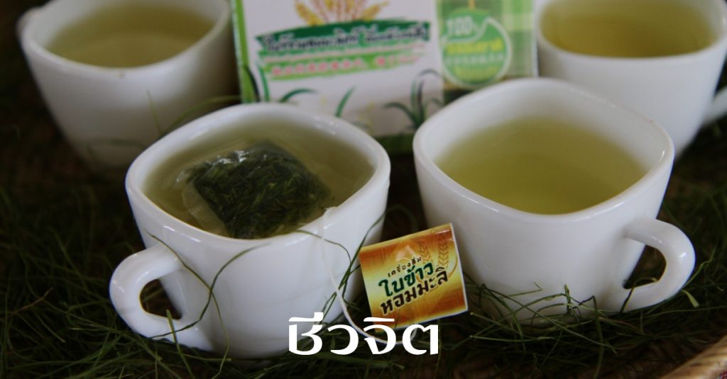 ชาใบข้าวหอมมะลิ, เครื่องดื่มสุขภาพ, ข้าวทุ่งกุลาร้องไห้, ทุ่งกุลาร้องไห้, ข้าวหอมมะลิ, ข้าวหอมมะลิ105,