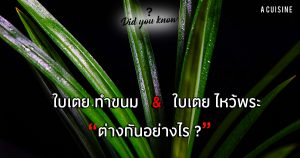 รู้หรือไม่! ใบเตย สำหรับทำขนม กับ ใบเตย สำหรับไหว้พระ
