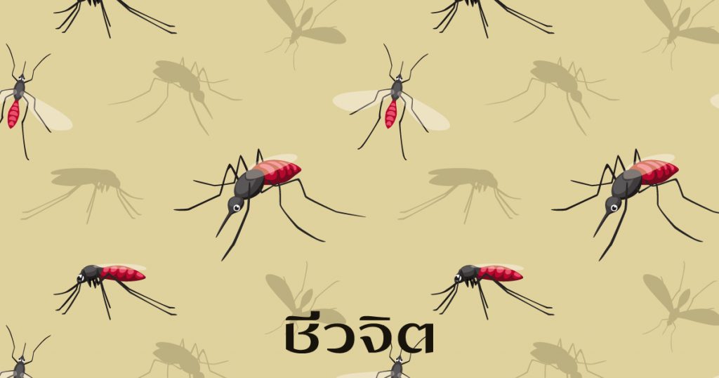 ยุงกัด, ยาสมุนไพรไทย, สมุนไพร, สมุนไพรไทย, ยาแผนโบราณ, แพทย์แผนไทย