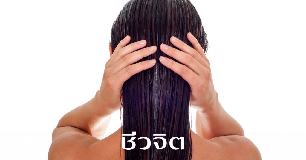 หมักผม, ผมแห้งเสีย, ผม, ดูแลผม, เส้นผม, บำรุงผม