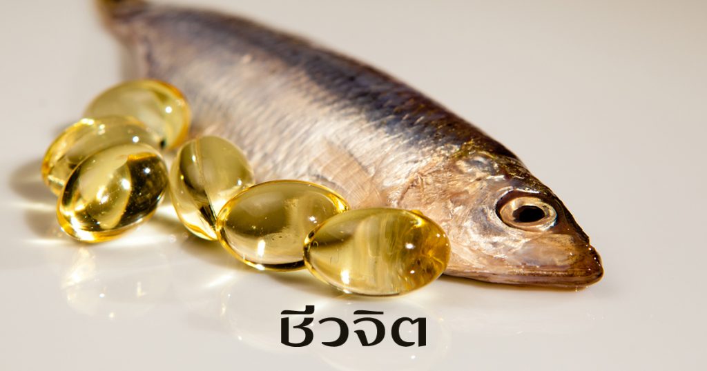 น้ำมันปลา, Fish Oil, สมอง, บำรุงสมอง, ไขมันดี, บำรุงระบบประสาท