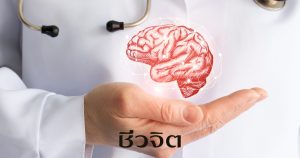 สมอง, บำรุงสมอง, ไขมันดี, อาหารที่มีไขมันดี, อาหารบำรุงสมอง