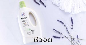 ผลิตภัณฑ์ถูพื้น, น้ำยาถูพื้น, น้ำยาถูพื้นออร์แกนิก, ผลิตภัณฑ์ออแกร์นิก, เลือกน้ำยาถูกพื้น, ผลิตภัณฑ์ซักล้างภายในบ้าน