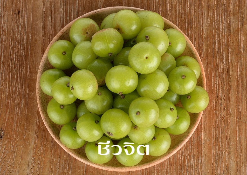 มะขามป้อม ดอยคำ